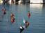 2002_herons_in_jaffa_harbor_israel
