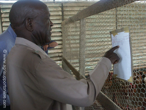 2003_crop_results_congo