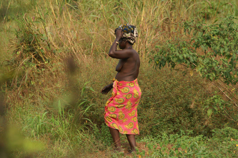 Sierra Leonel - cat0826