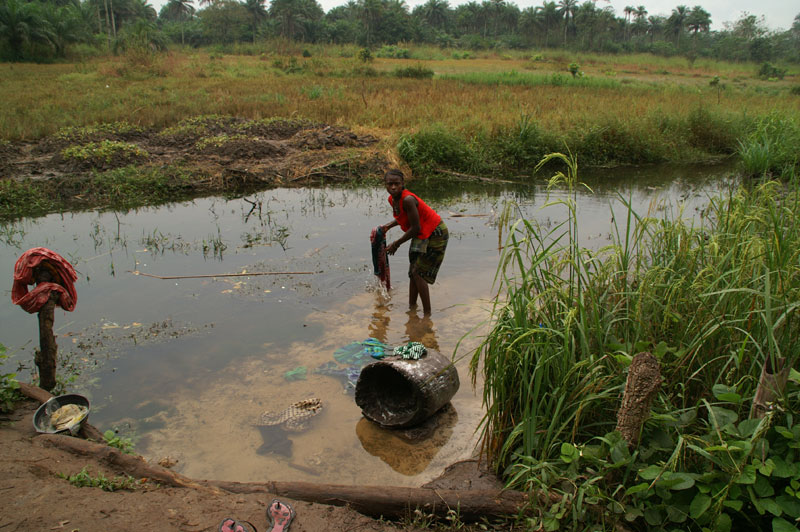 Sierra Leonel - cat0828