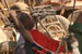Cat 825 - Sierra Leone