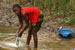 Cat 827 - Sierra Leone