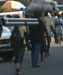 Cat 861 - Sierra Leone