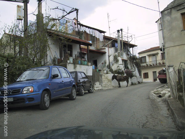2001_traditional_modern_transportation_corfu_greece