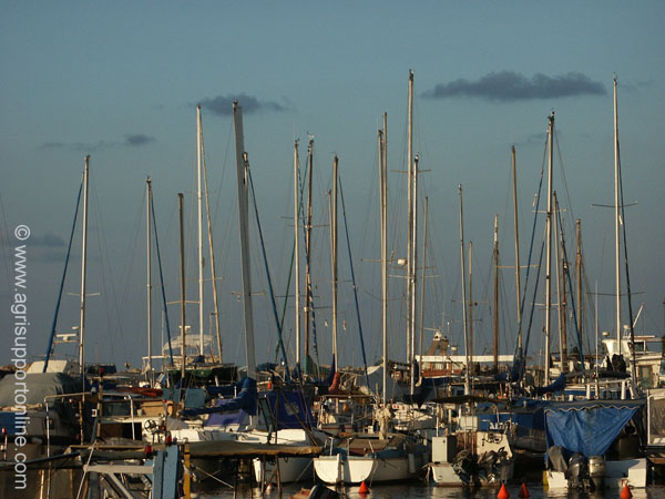 2002_harbor_jaffa_israel