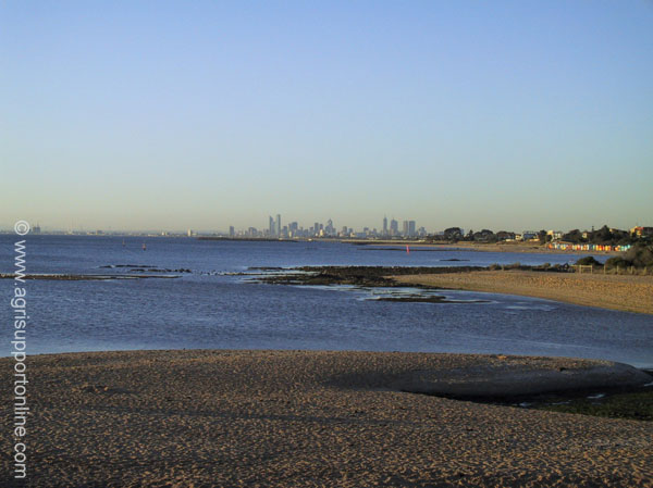 2001_downtown_melbourne_victoria_australia