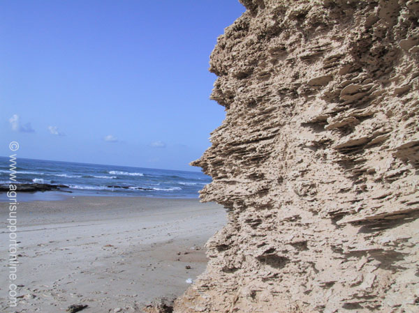 2002_beit_yanai_beach_israel_3