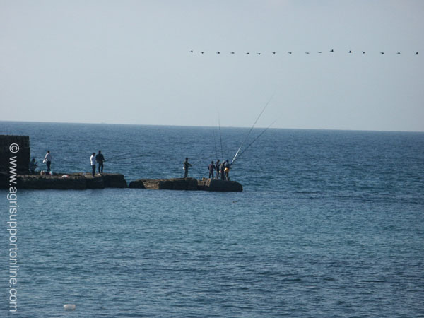 2003_fishing_in_caesarea_israel