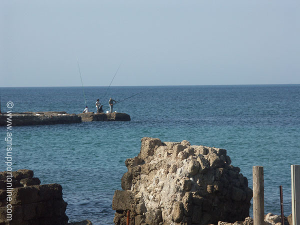 2004_fishmen_caesarea_israel