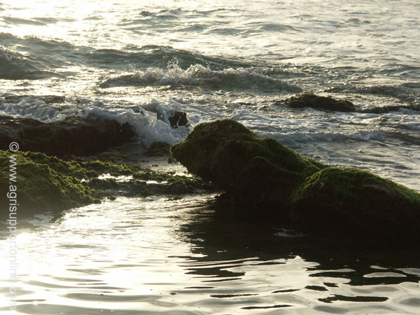 2004_mediterranean_israel_1