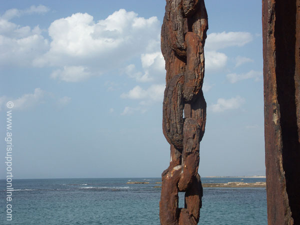 2004_old_harbor_caesarea_israel