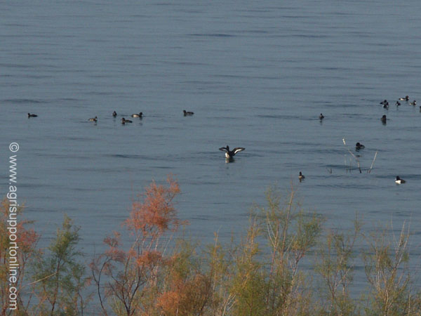 2004_the_sea_of_galilee_israel