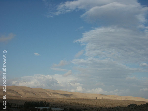 2002_negev_desert_israel_1