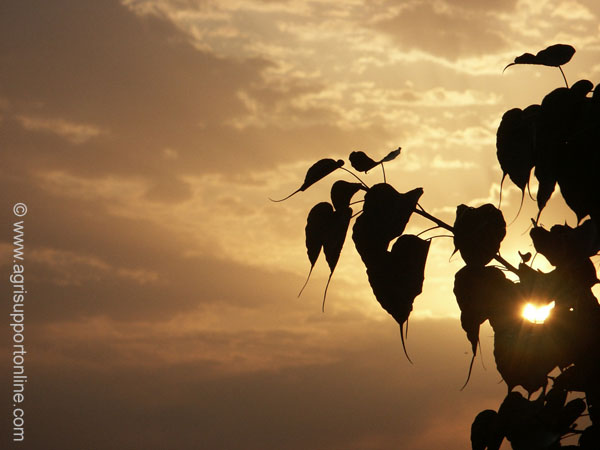 2002_sunrise_in_the_jordan_valley_israel