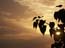 2002_sunrise_in_the_jordan_valley_israel