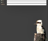Kookaburra on Log