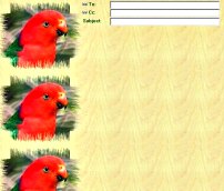 King Parrot