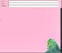 King Parrot Hen
