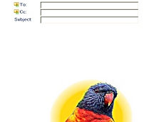 Rainbow Lorikeet