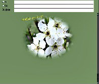 Spring Blossom