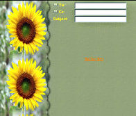 Sunflower Border