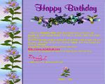 Aster Flower Happy Birthday