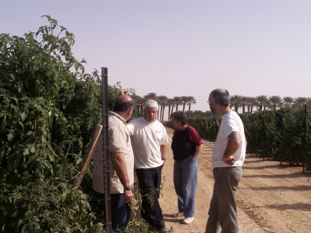 Arava-Feb-7-9-2008-044