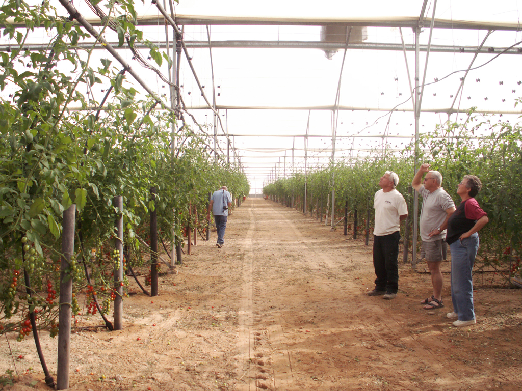 Arava-Feb-7-9-2008-053