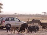 Arava-Feb-7-9-2008-034